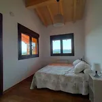 Picuastur Onís