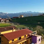 Picuastur Onís
