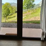 Picuastur Onís