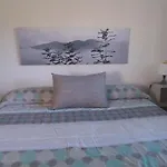Picuastur Onís