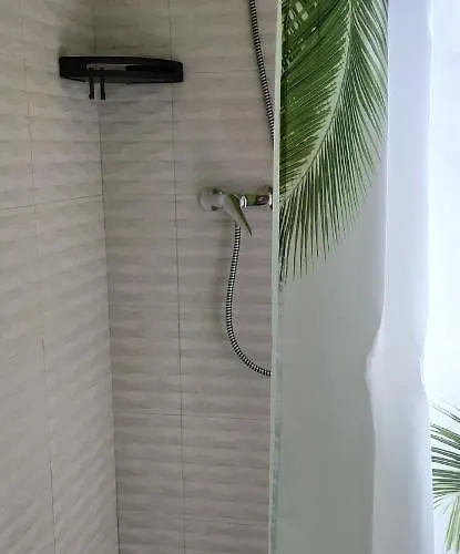 Picuastur Cangas de Onis