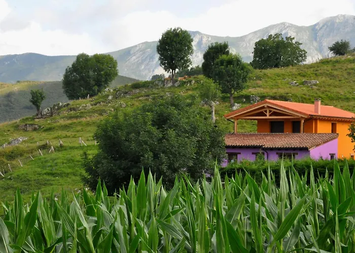 Picuastur Cangas de Onis